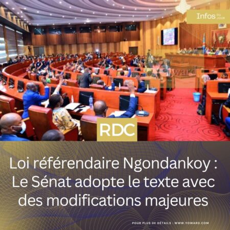Loi référendaire Ngondankoy : Le Sénat adopte le texte avec des modifications majeures
