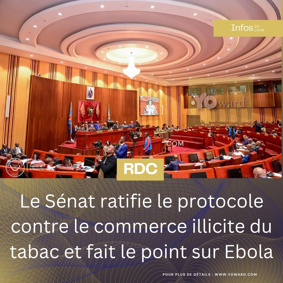 Séance plénière au Sénat de la République démocratique du Congo lors du vote du projet de loi sur le commerce illicite des produits du tabac.